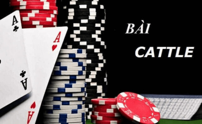 cach choi bai catte 2 Cần nắm bắt cách thức chơi bài Cát Tê cụ thể