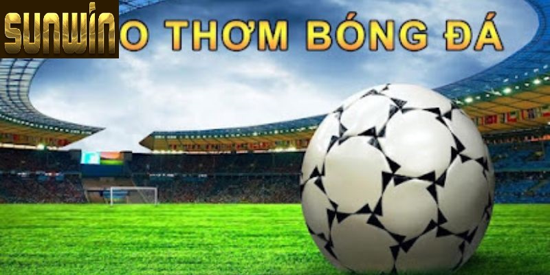 keo thom la keo cuoc gi trong bong da Một số các sảnh cược thể thao SUNWIN phổ biến hiện nay